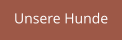 Unsere Hunde
