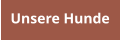 Unsere Hunde