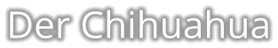 Der Chihuahua